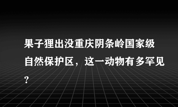 果子狸出没重庆阴条岭国家级自然保护区，这一动物有多罕见？