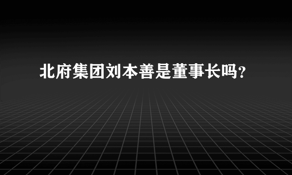 北府集团刘本善是董事长吗？