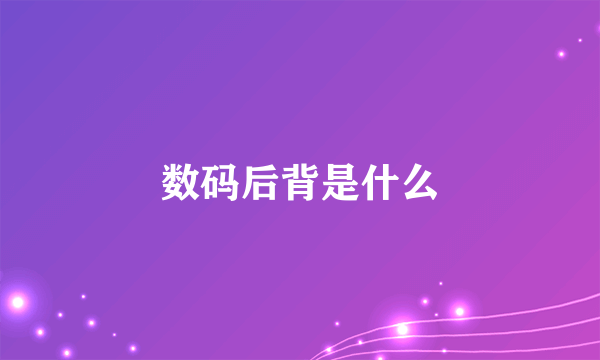 数码后背是什么