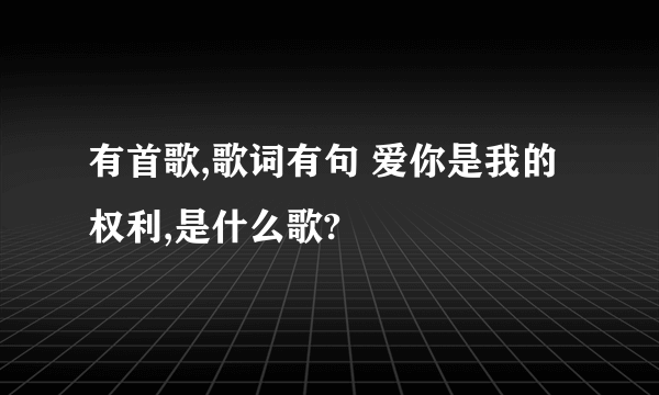 有首歌,歌词有句 爱你是我的权利,是什么歌?