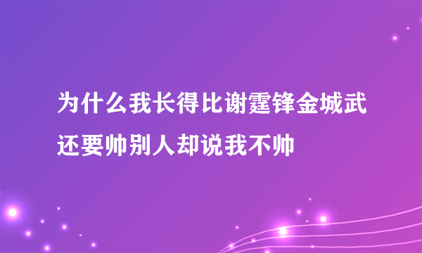 为什么我长得比谢霆锋金城武还要帅别人却说我不帅