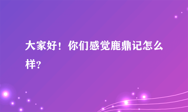 大家好！你们感觉鹿鼎记怎么样？