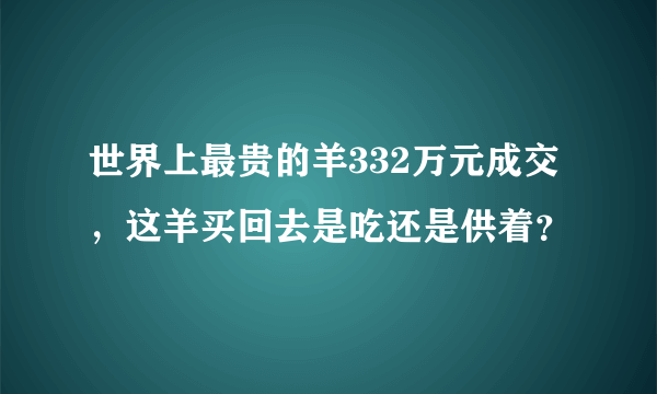 世界上最贵的羊332万元成交，这羊买回去是吃还是供着？