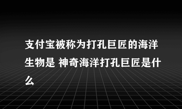 支付宝被称为打孔巨匠的海洋生物是 神奇海洋打孔巨匠是什么