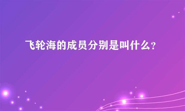 飞轮海的成员分别是叫什么？