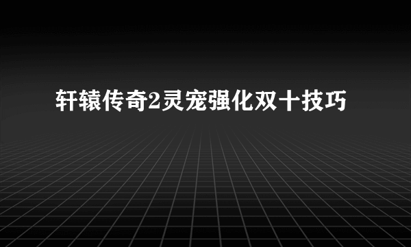 轩辕传奇2灵宠强化双十技巧