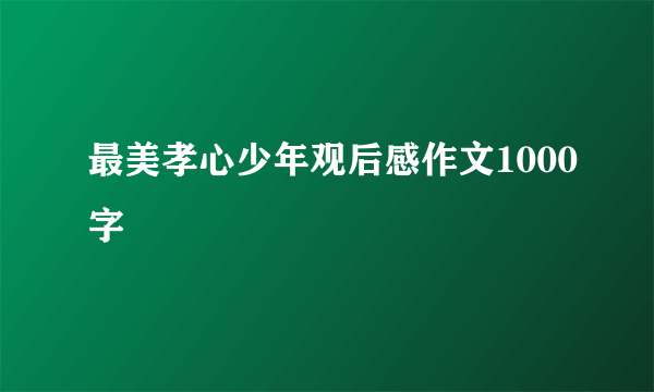 最美孝心少年观后感作文1000字