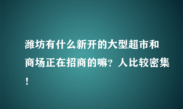 潍坊有什么新开的大型超市和商场正在招商的嘛？人比较密集！