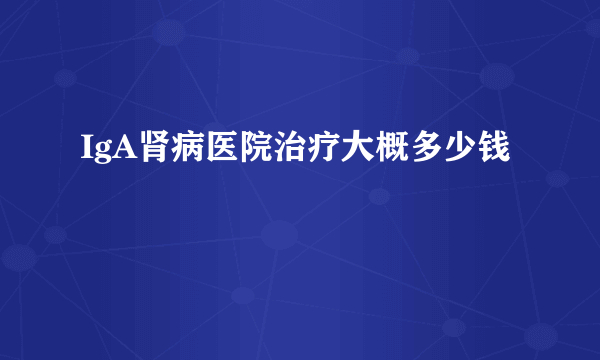 IgA肾病医院治疗大概多少钱