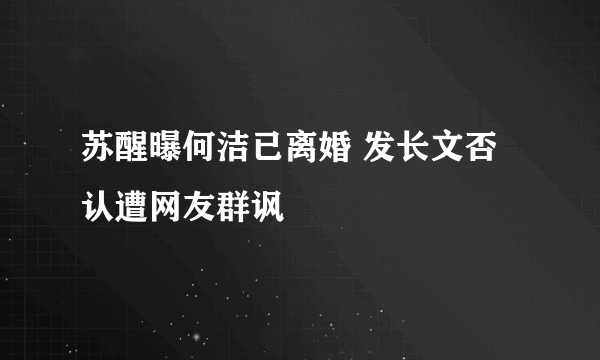 苏醒曝何洁已离婚 发长文否认遭网友群讽