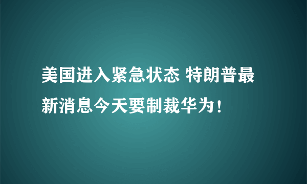 美国进入紧急状态 特朗普最新消息今天要制裁华为！