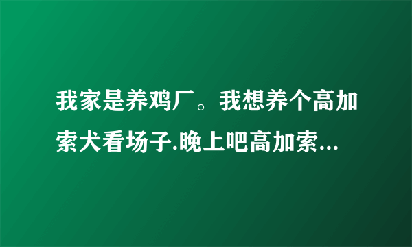 我家是养鸡厂。我想养个高加索犬看场子.晚上吧高加索犬撒开的时候会不会吃鸡？