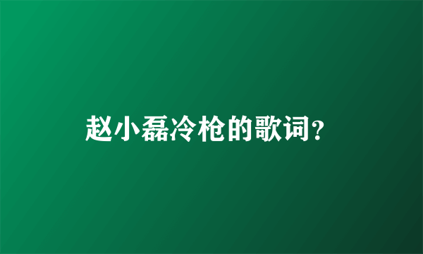 赵小磊冷枪的歌词？