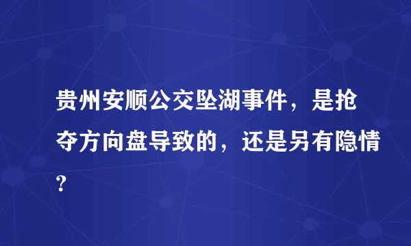 贵州安顺公交坠湖事件，是抢夺方向盘导致的，还是另有隐情？