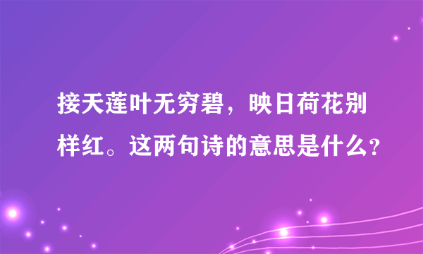 接天莲叶无穷碧，映日荷花别样红。这两句诗的意思是什么？