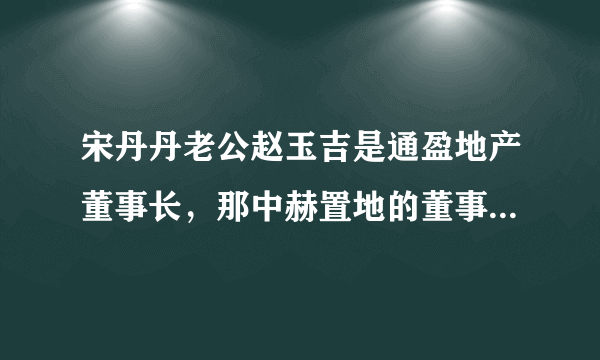 宋丹丹老公赵玉吉是通盈地产董事长，那中赫置地的董事长是谁？