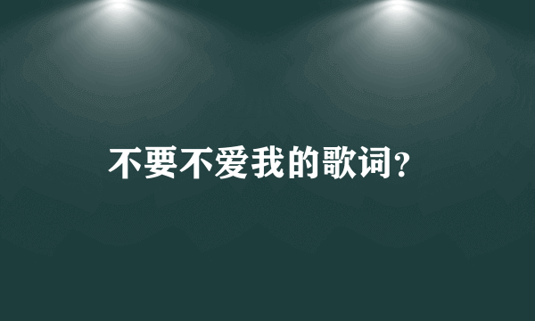 不要不爱我的歌词？