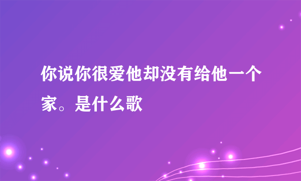 你说你很爱他却没有给他一个家。是什么歌