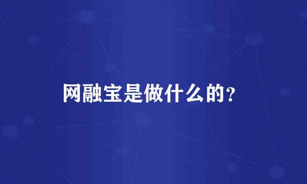 网融宝是做什么的？