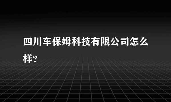 四川车保姆科技有限公司怎么样？