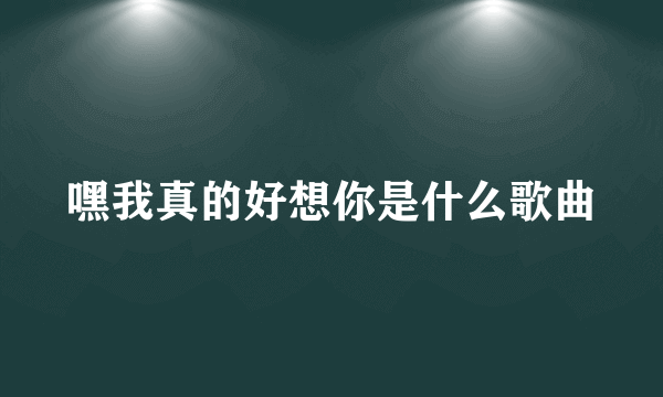 嘿我真的好想你是什么歌曲