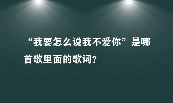 “我要怎么说我不爱你”是哪首歌里面的歌词？