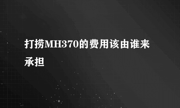 打捞MH370的费用该由谁来承担