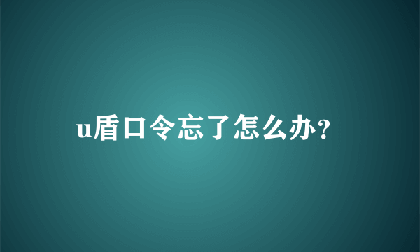 u盾口令忘了怎么办？