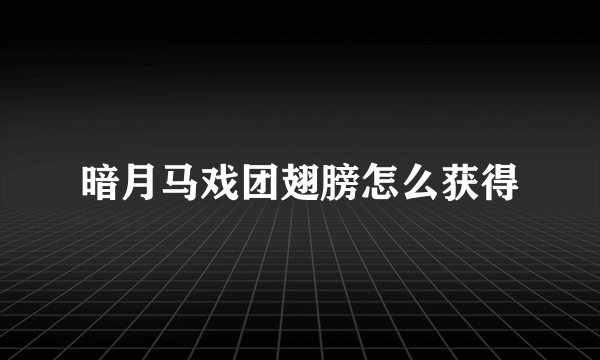 暗月马戏团翅膀怎么获得