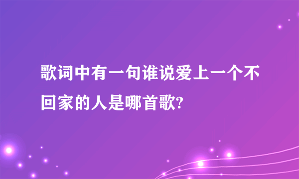 歌词中有一句谁说爱上一个不回家的人是哪首歌?