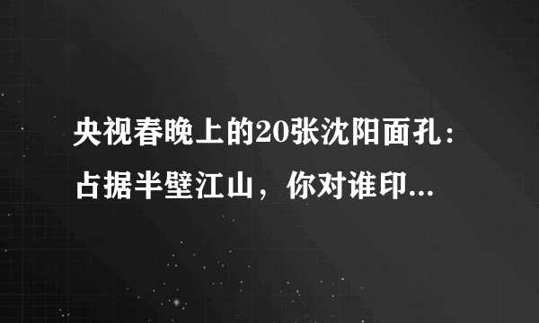 央视春晚上的20张沈阳面孔：占据半壁江山，你对谁印象最深？