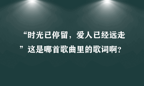 “时光已停留，爱人已经远走”这是哪首歌曲里的歌词啊？