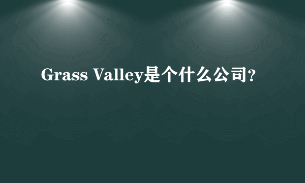 Grass Valley是个什么公司？