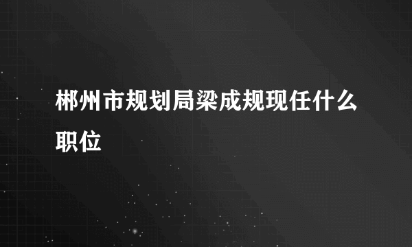 郴州市规划局梁成规现任什么职位