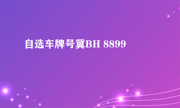 自选车牌号冀BH 8899