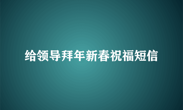 给领导拜年新春祝福短信