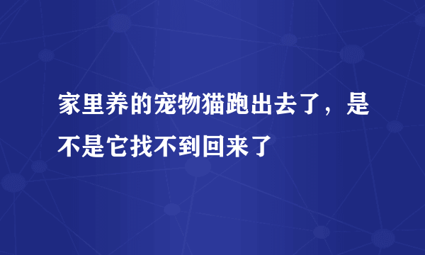 家里养的宠物猫跑出去了，是不是它找不到回来了