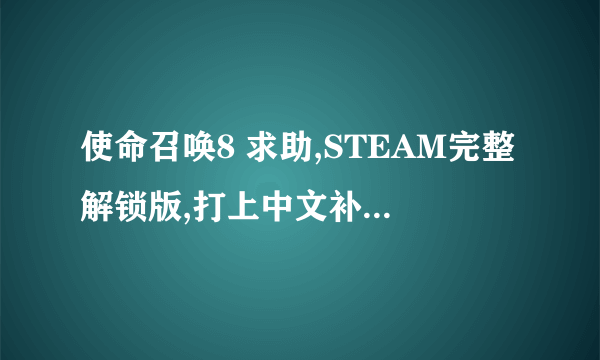 使命召唤8 求助,STEAM完整解锁版,打上中文补丁后玩不了