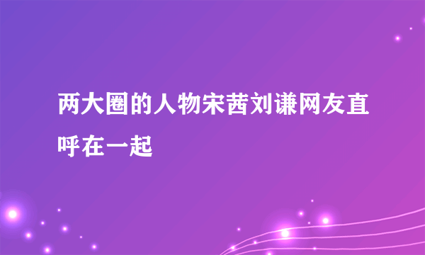 两大圈的人物宋茜刘谦网友直呼在一起