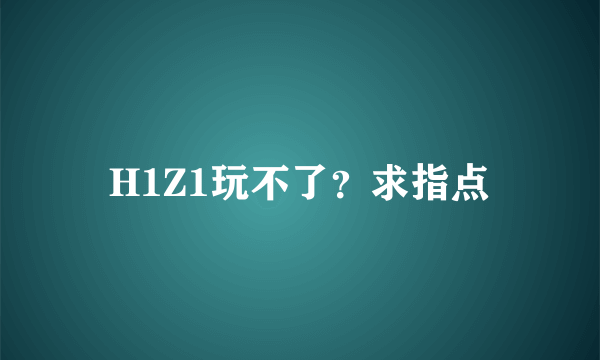 H1Z1玩不了？求指点