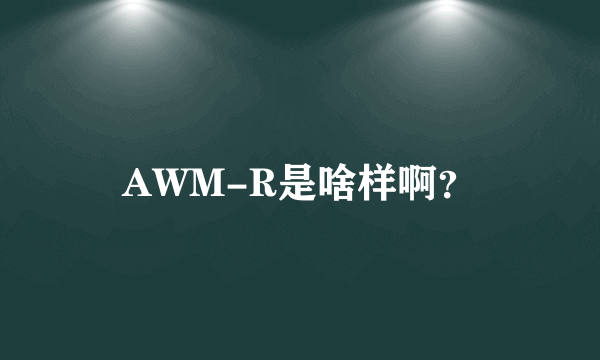 AWM-R是啥样啊？