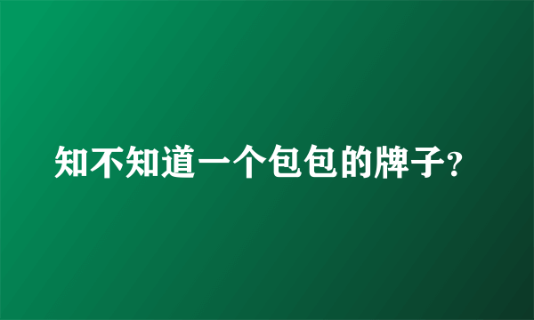 知不知道一个包包的牌子？