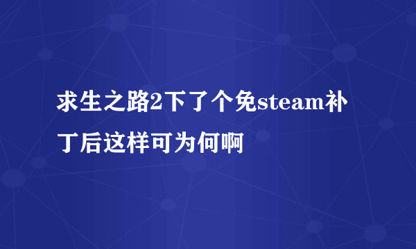 求生之路2下了个免steam补丁后这样可为何啊