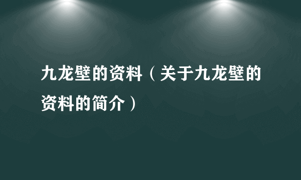 九龙壁的资料（关于九龙壁的资料的简介）