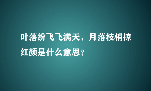 叶落纷飞飞满天，月落枝梢掠红颜是什么意思？