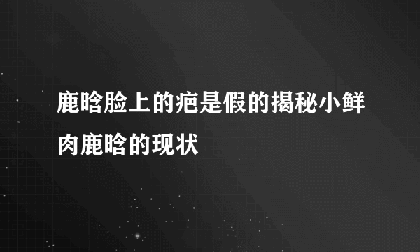 鹿晗脸上的疤是假的揭秘小鲜肉鹿晗的现状