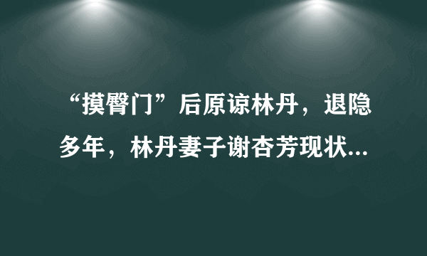 “摸臀门”后原谅林丹，退隐多年，林丹妻子谢杏芳现状怎么样？