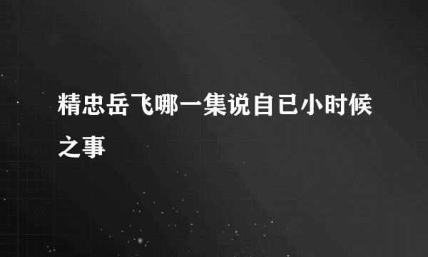 精忠岳飞哪一集说自已小时候之事