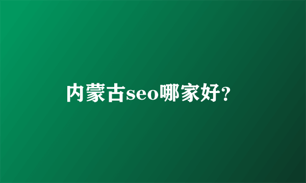 内蒙古seo哪家好？