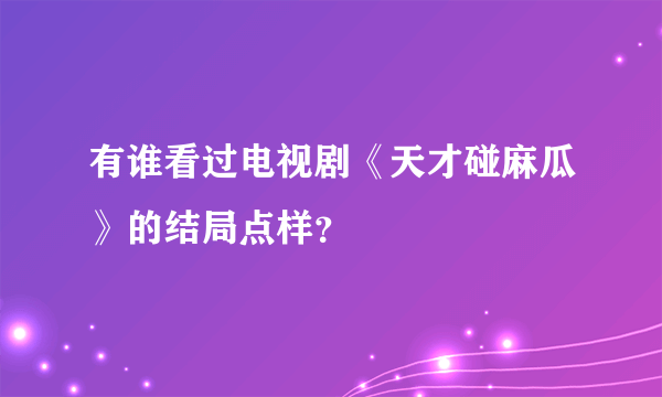 有谁看过电视剧《天才碰麻瓜》的结局点样？